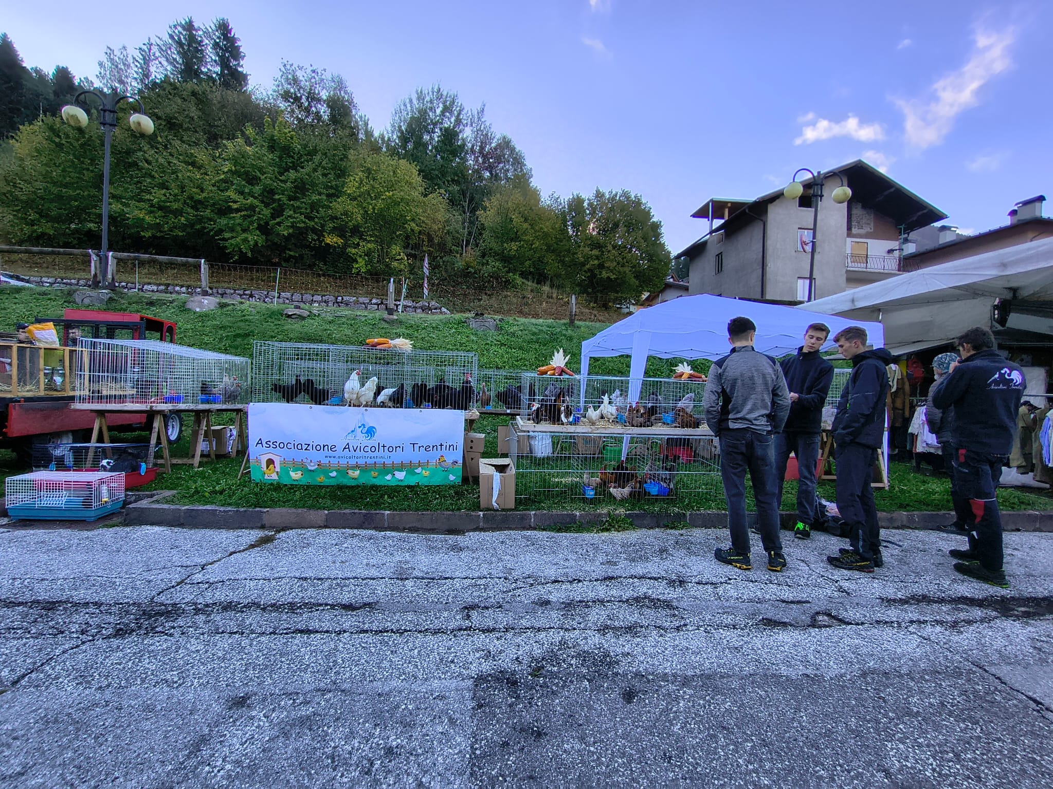 Avicoltori Trentini Bedollo 2