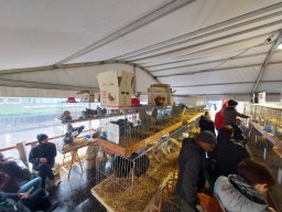79a Mostra dell’Agricoltura con gli Avicoltori Trentini