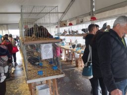 79a Mostra dell’Agricoltura con gli Avicoltori Trentini