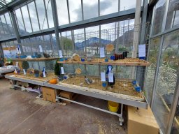 Mostre ed eventi &raquo; Tra fiori e piume 2025