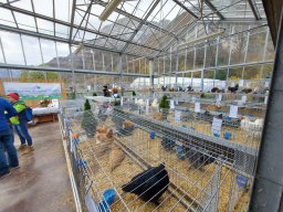 Tra fiori e piume 2025