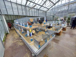 Tra fiori e piume 2025