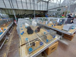 Tra fiori e piume 2025