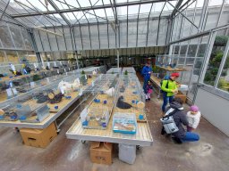 Tra fiori e piume 2025